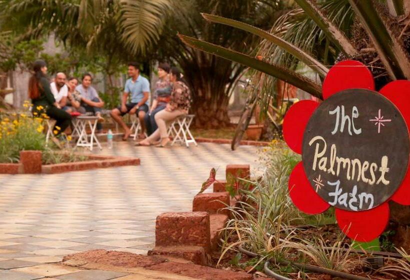 בית מלון כפרי The Palmnest Resort