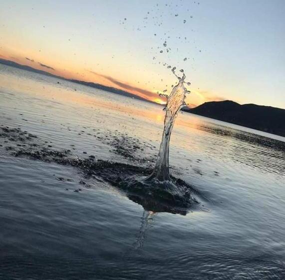 ホテル Today , Խաղաղության լողափ