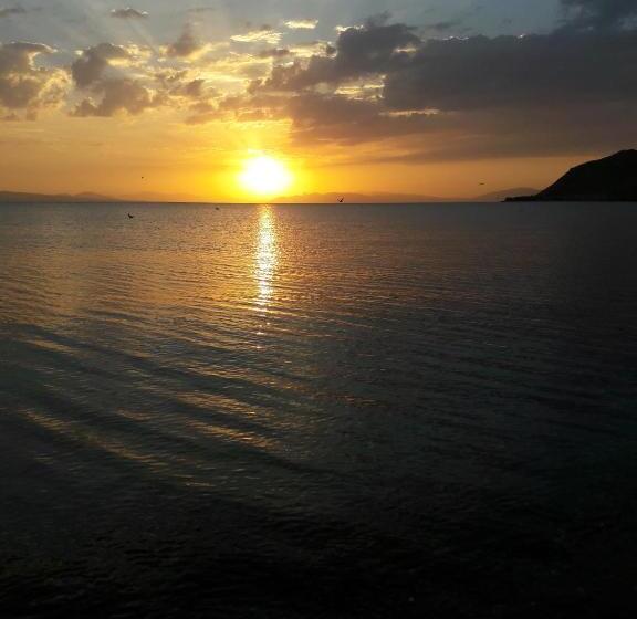 ホテル Today , Խաղաղության լողափ