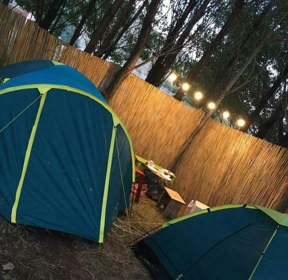 ホテル Today , Խաղաղության լողափ