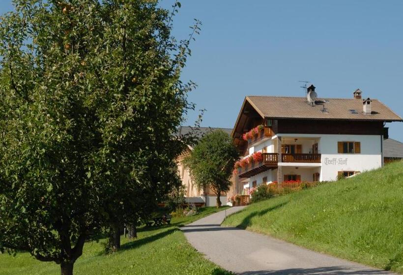 Отель Treffhof