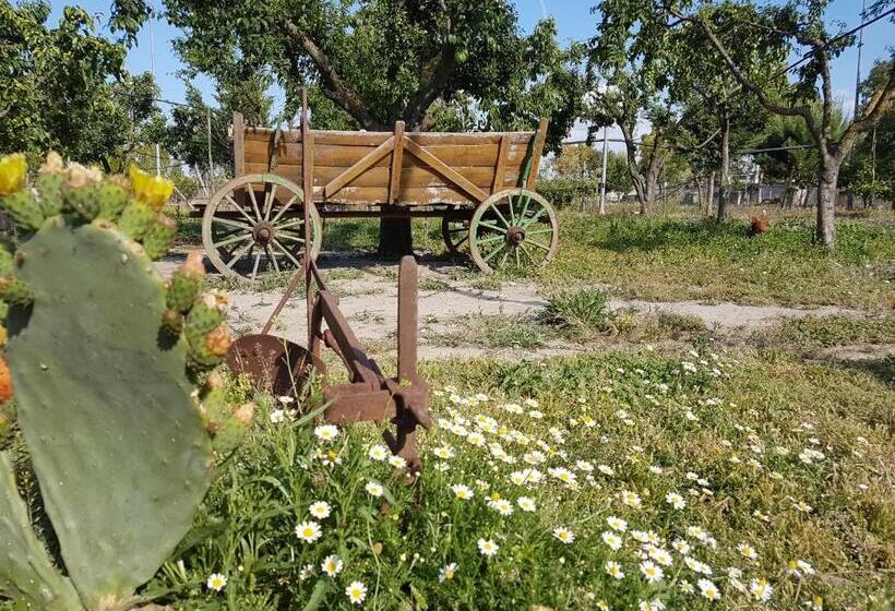 Oasi B&b Hotel Restaurant