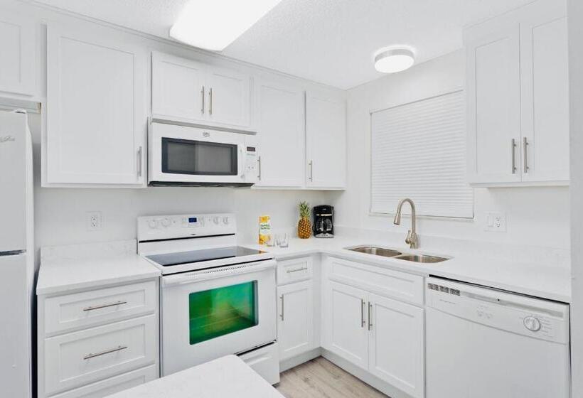 Paradise Beach Club   Oceanfront And Penthouse