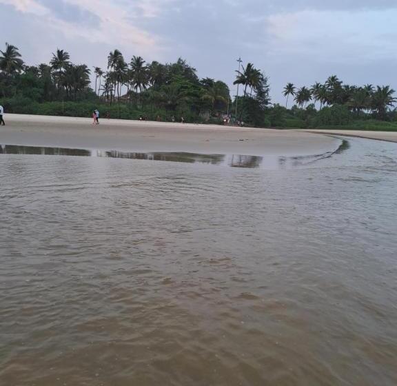 Пансион C Pearl