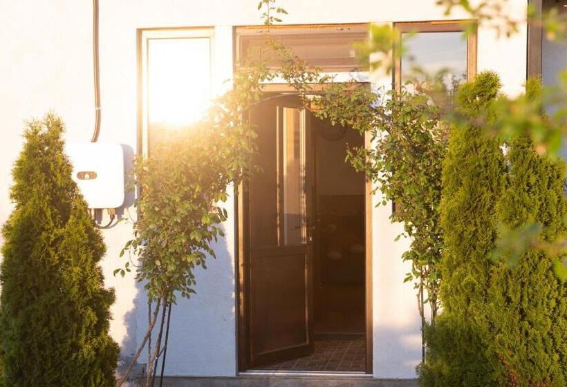 ペンション Casa Dumitrescu