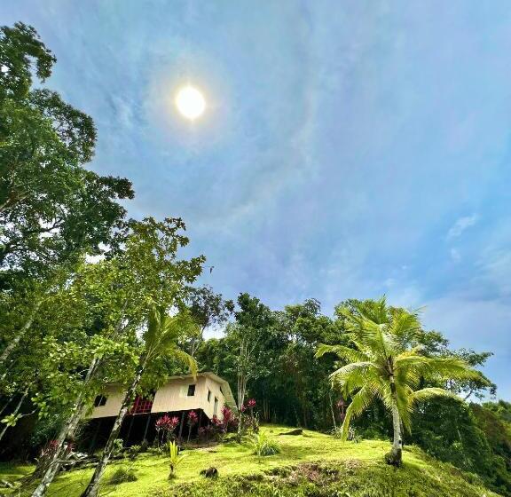 펜션 Choibana Ecolodge