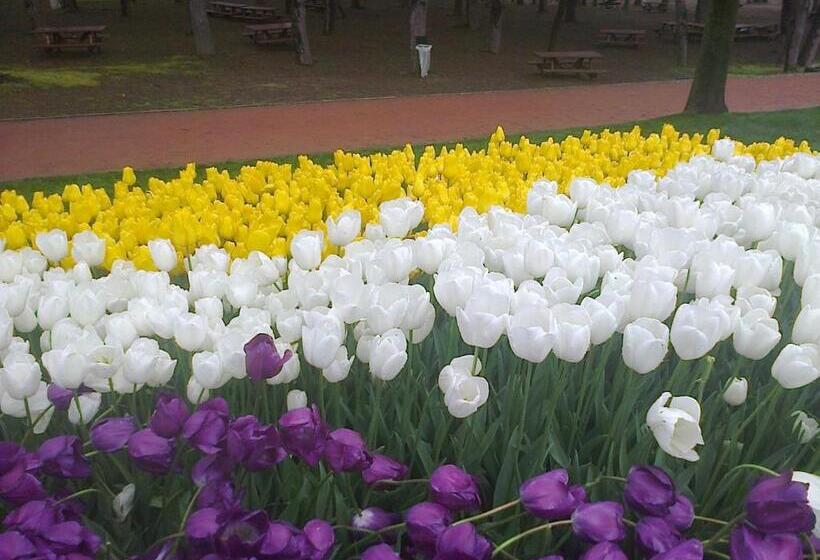 Пансион Guest House Kami