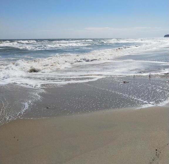 Пансион Guest House Kami