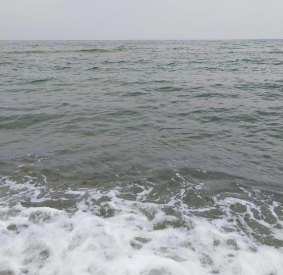 Пансион Guest House Kami