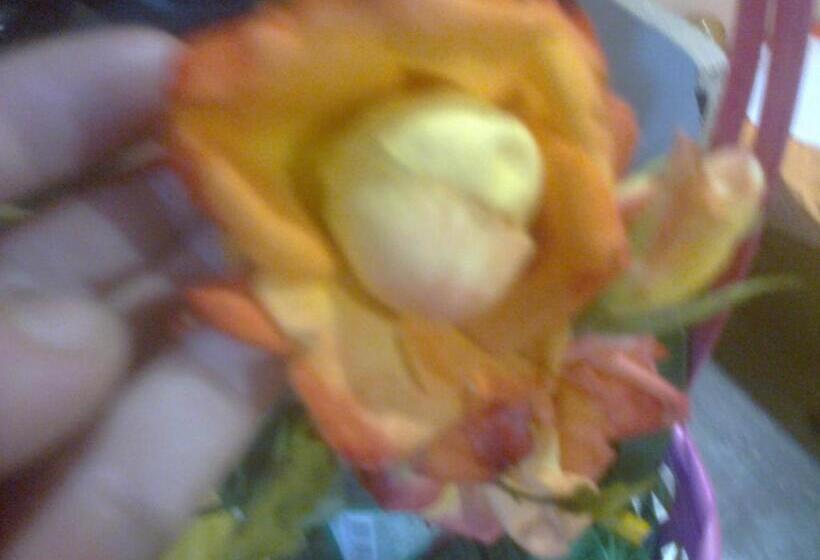 Пансион Guest House Kami