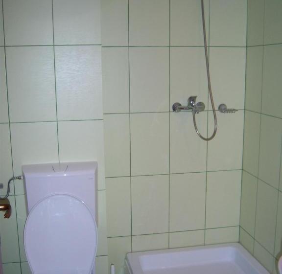 펜션 La Curtea Porumbaceana