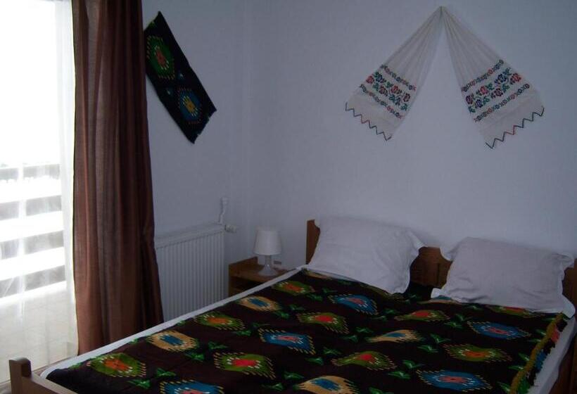 펜션 La Curtea Porumbaceana