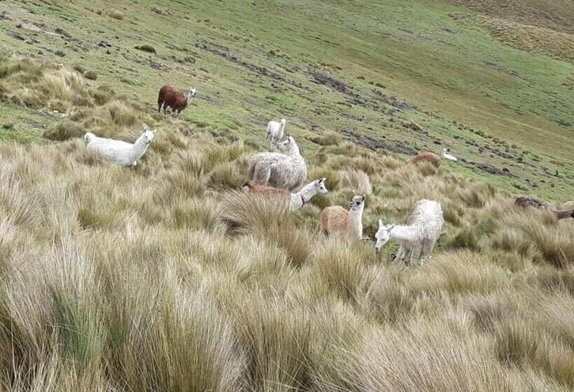 بنسيون Mirador Rumy Cruz Wasi