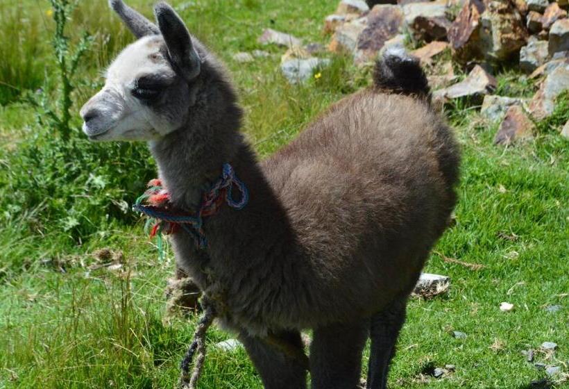 بنسيون Mirador Rumy Cruz Wasi