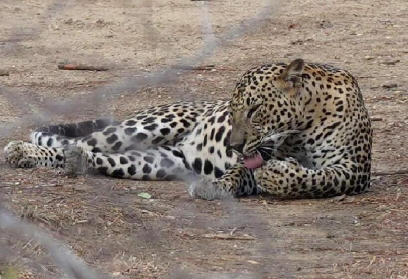 膳宿费 Moon Light Guest House