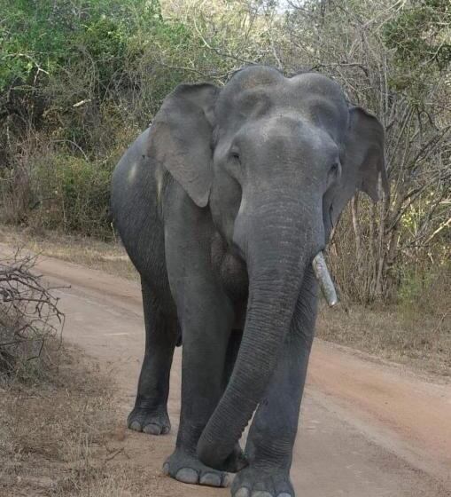 膳宿费 Moon Light Guest House