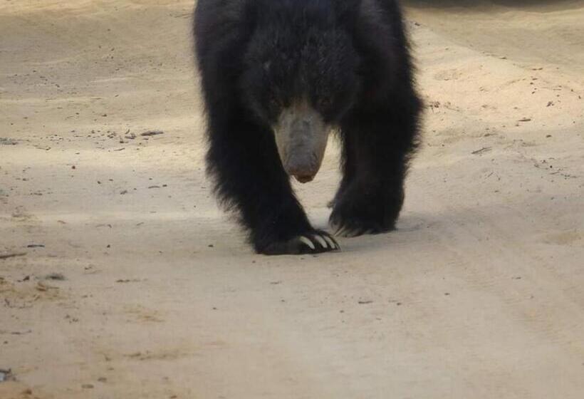 膳宿费 Moon Light Guest House