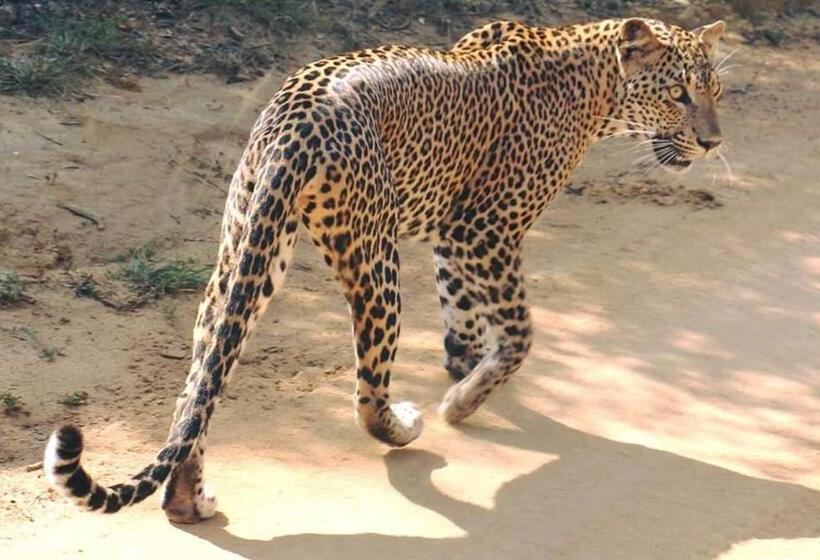 膳宿费 Moon Light Guest House