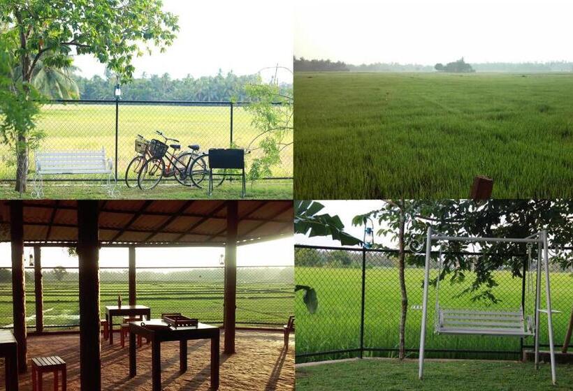 膳宿费 Moon Light Guest House