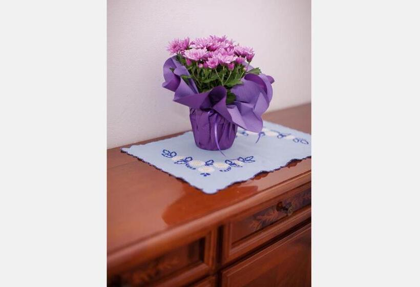 ペンション Penzión Centrál