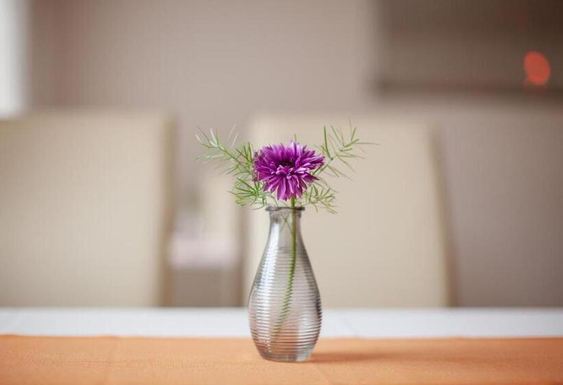 ペンション Penzión Centrál