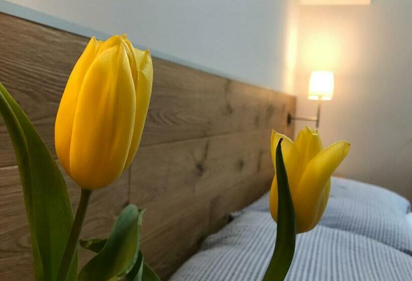 پانسیون Penzion Biely Potok