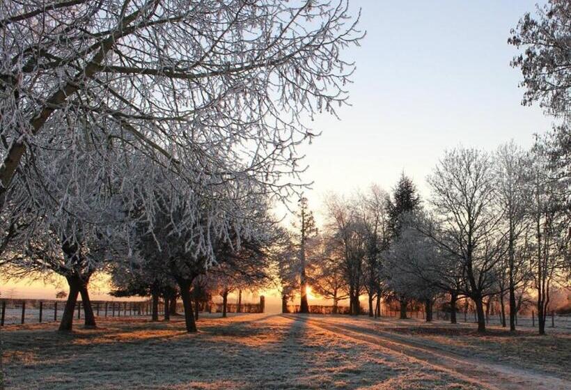 膳宿费 Rouge Maison