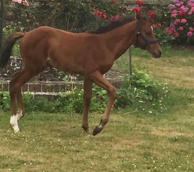 膳宿费 Rouge Maison