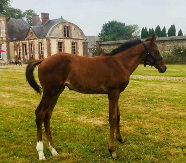 膳宿费 Rouge Maison