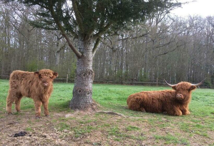 膳宿费 Rouge Maison