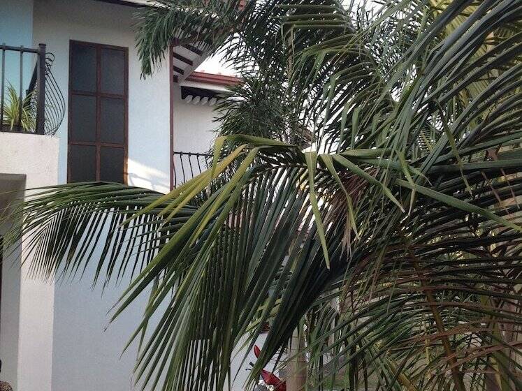 פנסיון The Villa Sun Shine