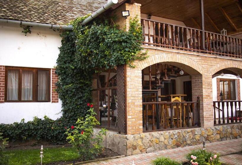 Pensiunea Sachsenhof