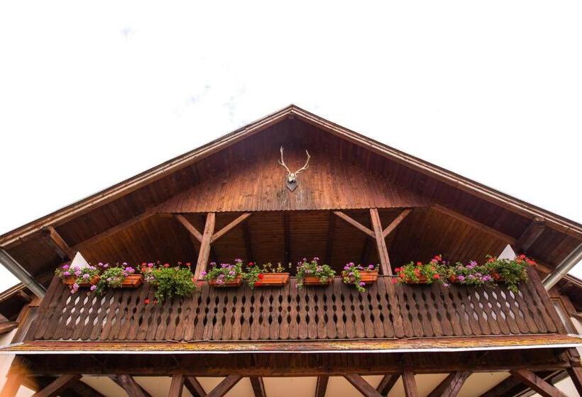 Pensiunea Sachsenhof