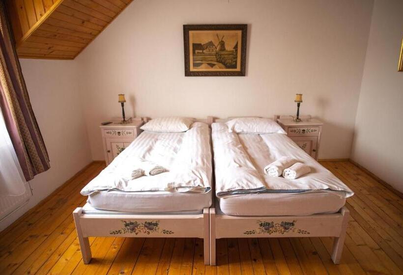 Pensiunea Sachsenhof