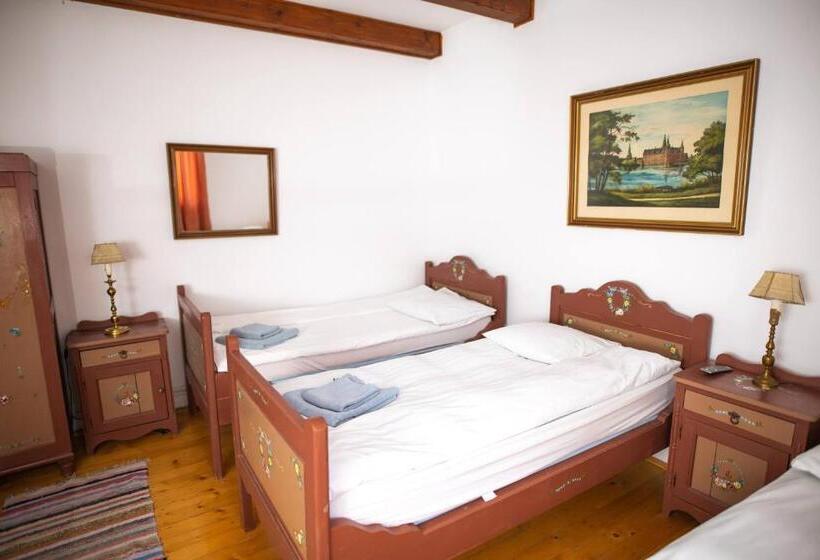 Pensiunea Sachsenhof