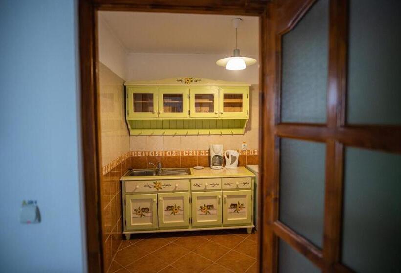 Pensiunea Sachsenhof