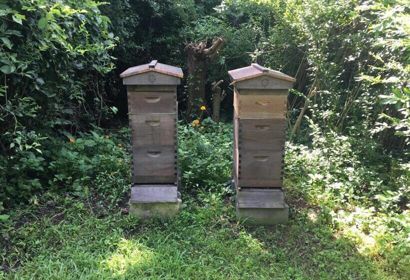 Renwick Clifton House B&b