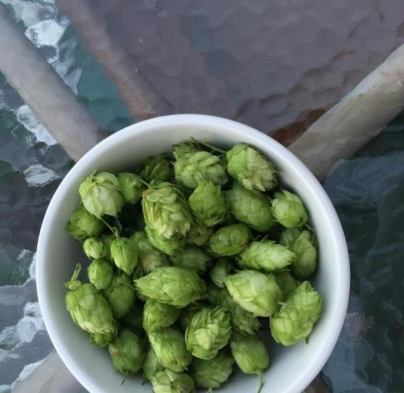 Renwick Clifton House B&b