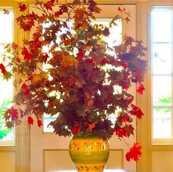 Renwick Clifton House B&b