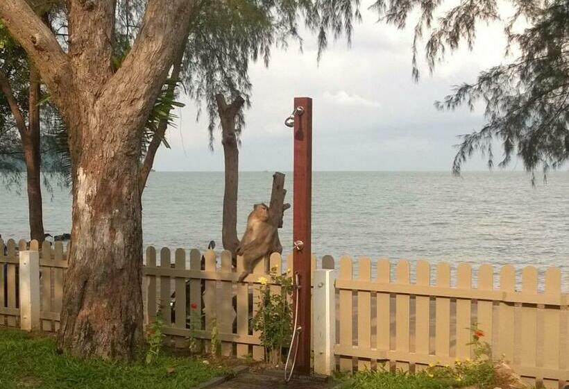 리조트 Baansukhita