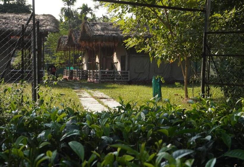منتجع Kaziranga Eco Camp