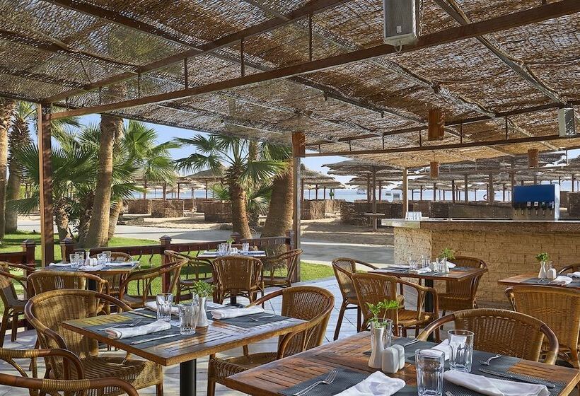 Отель Jaz Makadi Blue  Tui Blue Makadi  Adults Friendly 16 Years Plus