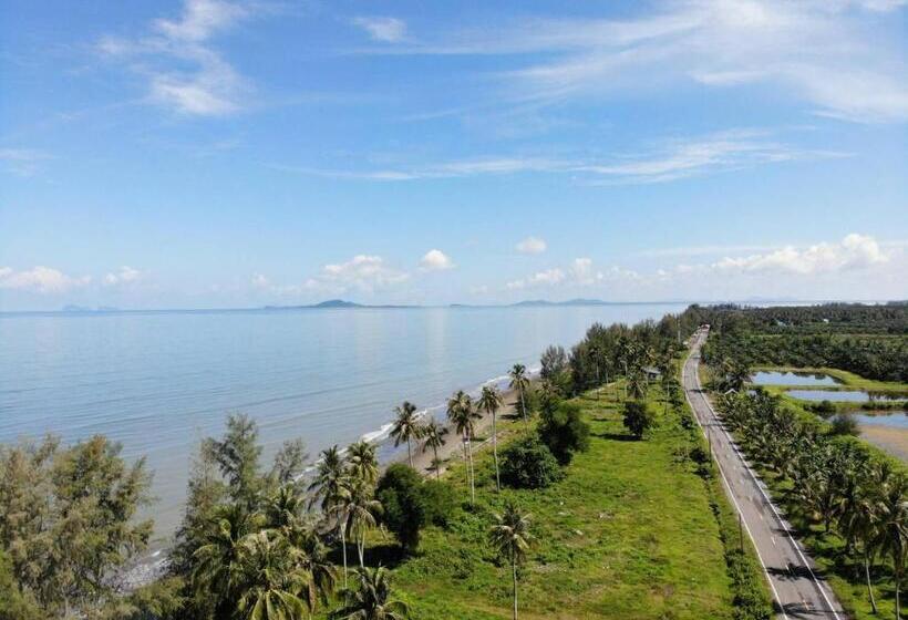 호텔 The Chevalley Beach Resort