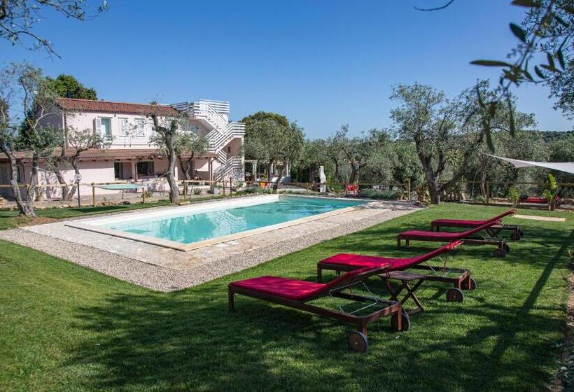 Oliveto Bed And Breakfast