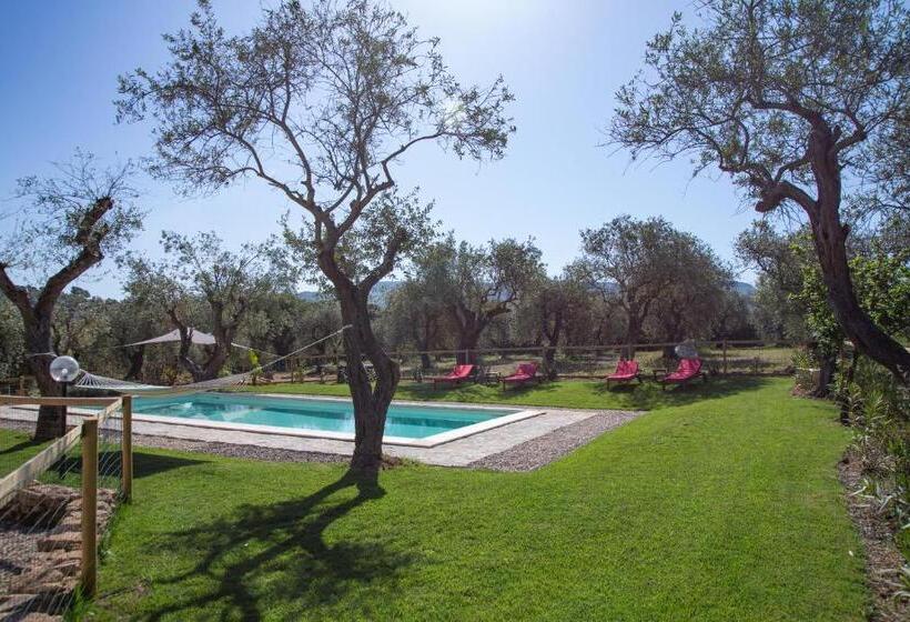 Oliveto Bed And Breakfast