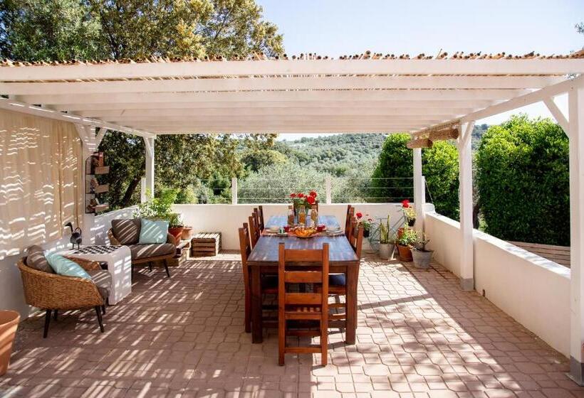 Oliveto Bed And Breakfast