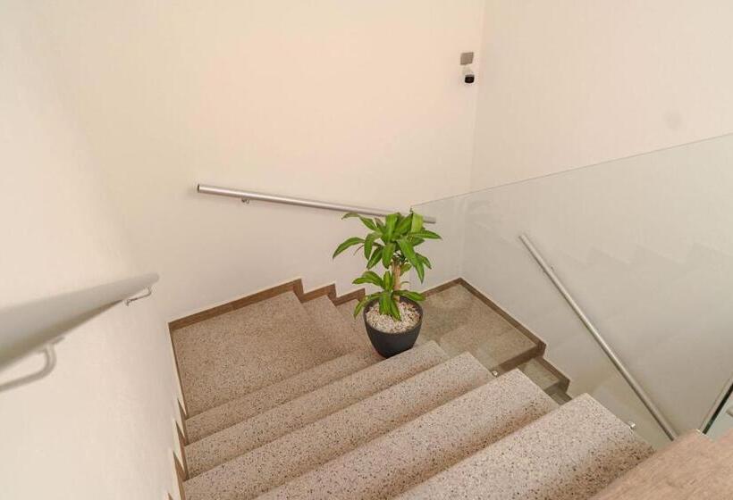 Real Naviero Hotel Ejecutivo