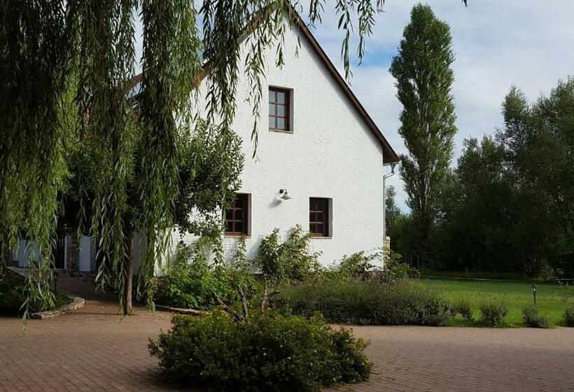 ベッドアンドブレックファースト Lesence Major