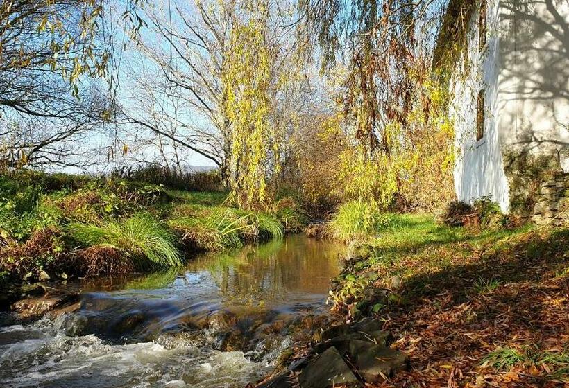 ベッドアンドブレックファースト Lesence Major