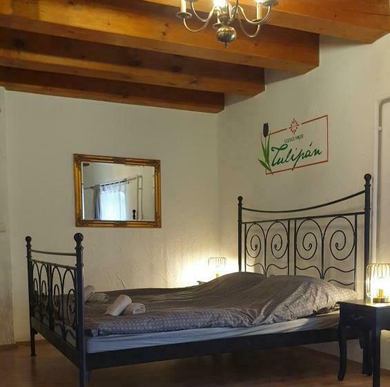 Bed and Breakfast Lesence Major